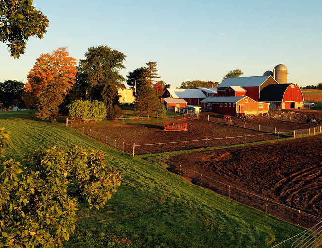 1031 Like-Kind Exchanges for Louisiana Farmers