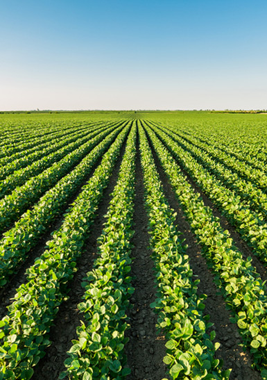 Idaho Farm and Ranch Exchanges