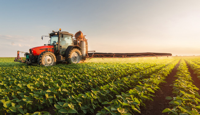 Louisiana Agriculture 1031 Exchange