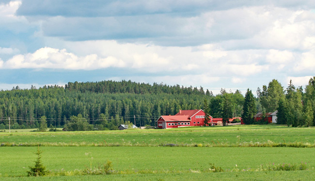 Louisiana Farm 1031 Exchange