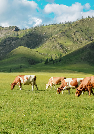 Colorado Farm and Ranch Exchanges